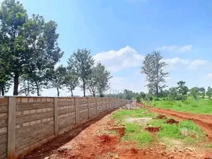 Own a Prime Plot in Juja Today