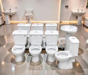 Modern Ceramic 1 Piece Toilet Set Bathroom Showroom Display Collection