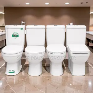 Modern Bathroom Toilet Collection With Premium Ceramic Toilet Suites