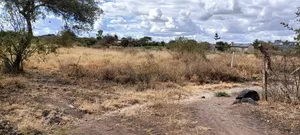 100*100 Land for Sale in Machakos Kithyoko