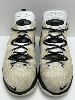 Nike LeBron 18