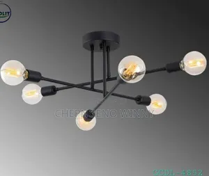 Six Holder Ceiling Light