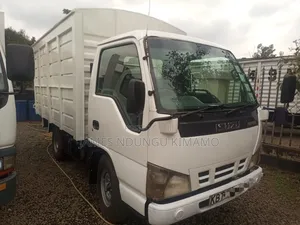 Isuzu Truck NHR Local on Quick Sale