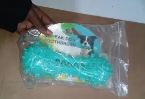Squeaky Bone Toy for Aggressive Chewers