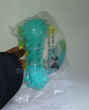 Dogs Playing Squeaky Toy