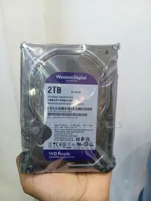 WD Surveillance 2 TB Hard Disk