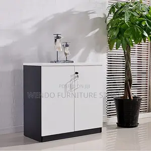 Office Cabinet : 2-Door Wooden Credenza Office Filing Cabinet