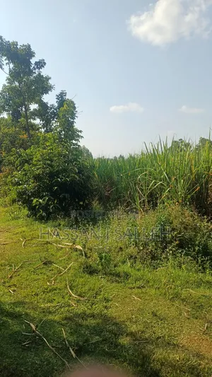 4.5acres Land on Sale.