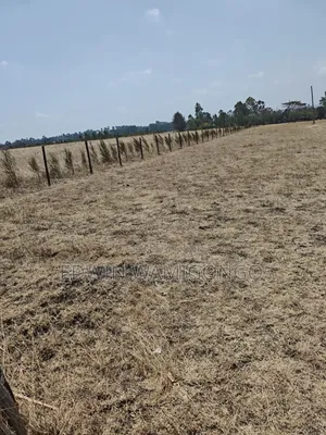 1⁄8 Acre for Sale (6 Plots With Ready Title Deeds)