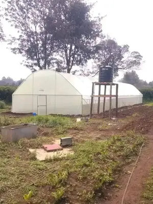 Galvanized Greenhouse 8m by 15m