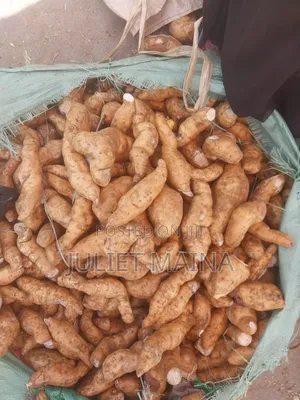 Sweet Potatoes