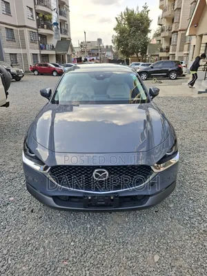 Mazda CX-30 2019 Gray