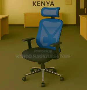 Office Chair : Modern Ergonomic High Back Office Chair