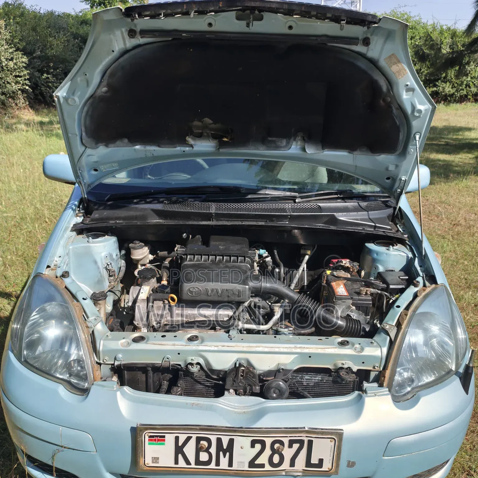 Toyota Vitz 2005 Ivory