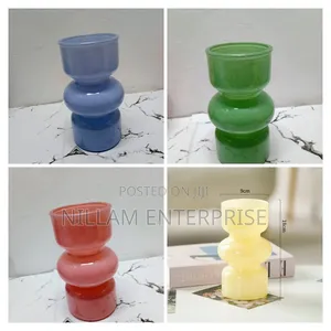 Decorative Glass Hydroponic Flower Vases