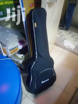 Acoustic Guitar Bag
