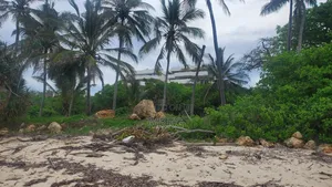 Quarter Acre– Diani/Msambweni, 500m to Beach. 28 Mins to Diani Town