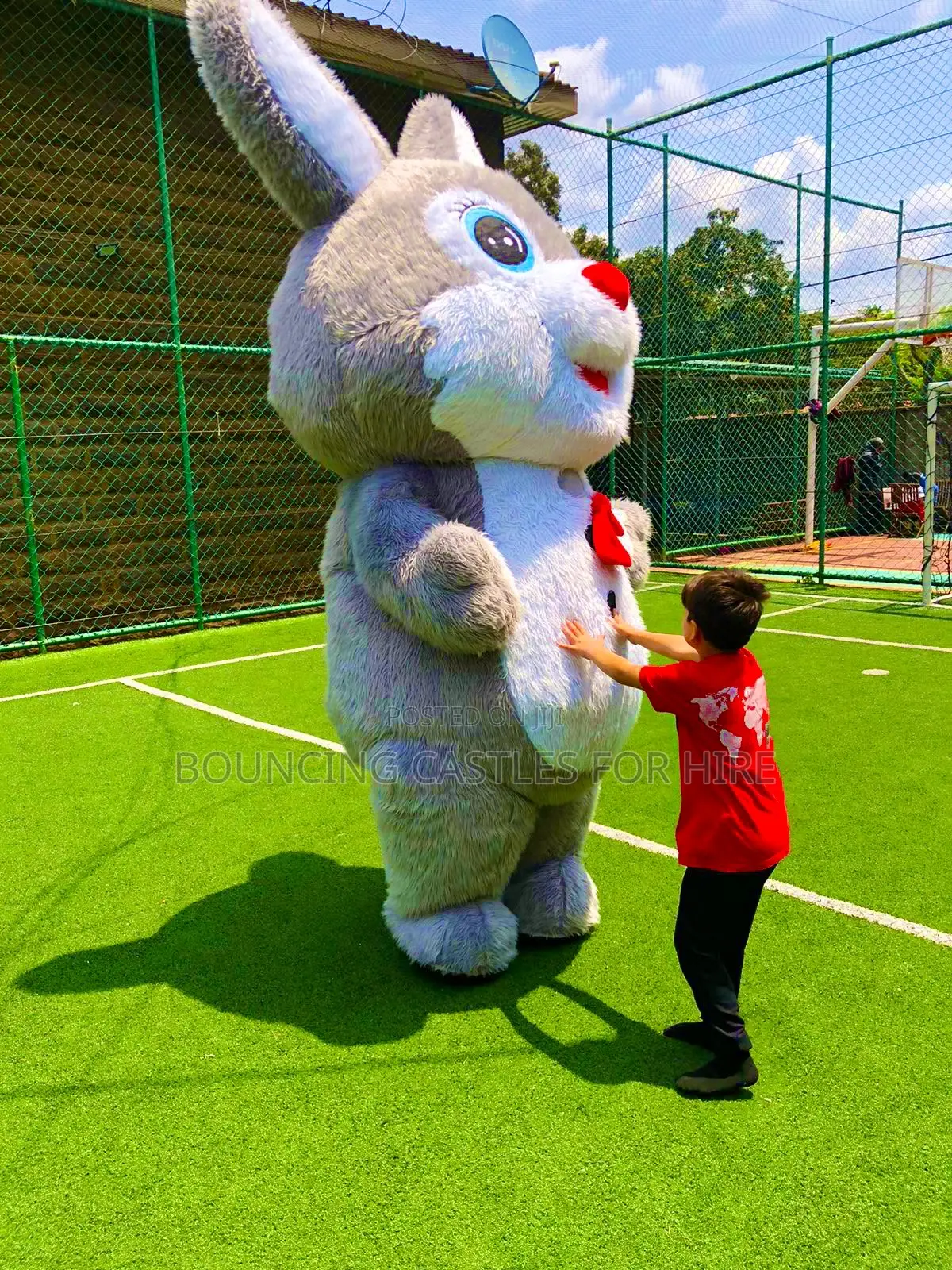Bouncing Castles