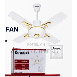 Premier 24 Inches Ceiling Fan