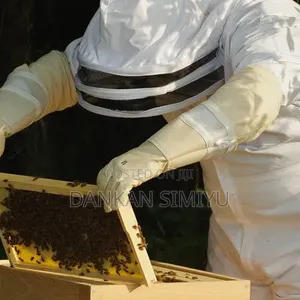 Bee Hive Maintenance Services