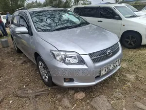 Toyota Corolla Fielder 2007 Silver
