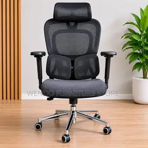 Office Chairs; Orthopedic Executive Chairs With Caster Wheel