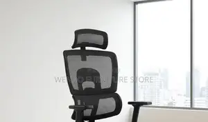 Office Chairs; Reclining Office Mesh Adjustable Orthopedic Koi Seats