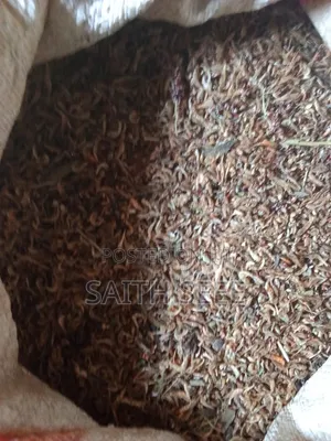 Nutritious Ochonga