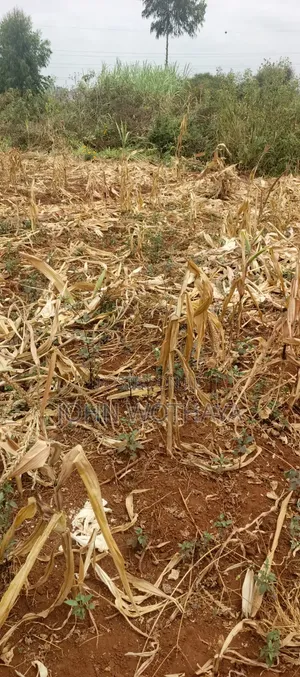 Plot for Sale at ATHENA Estate in Thika, Near Vincentian Prayer Centre