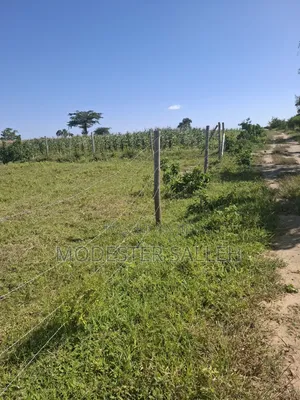 Mariakani Prime Plots for Sale With Freehold Titledeed