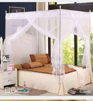 4 Stand Mosquito Net
