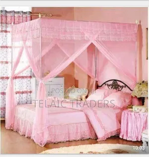 4 Stand Mosquito Net