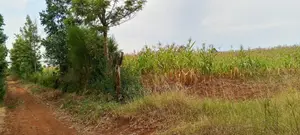 Farm on Sale at Githiga Ward,laikipia