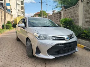 Toyota Axio 2019 Silver