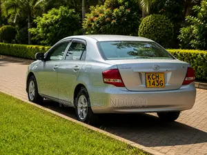 Toyota Axio 2009 Silver
