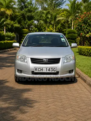 Toyota Axio 2009 Silver
