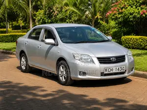 Toyota Axio 2009 Silver