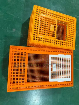 Heavy-Duty Orange Plastic Crates for Transporting Live Poultry (HDPE)