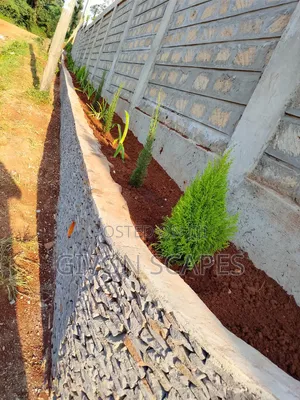 Landscaping