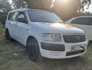 Toyota Probox 2011 White
