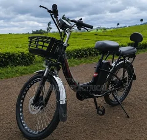E- Bike 350vwatts