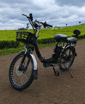 E -Compact Bike (Electric Bike)