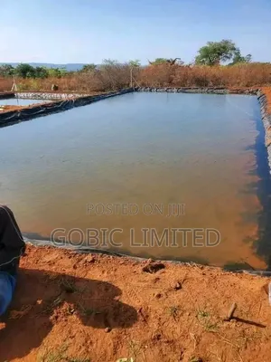 Kitisuru Fish Pond Contractors