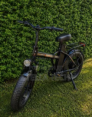 *Fat Tyre E-Bike Specs:*