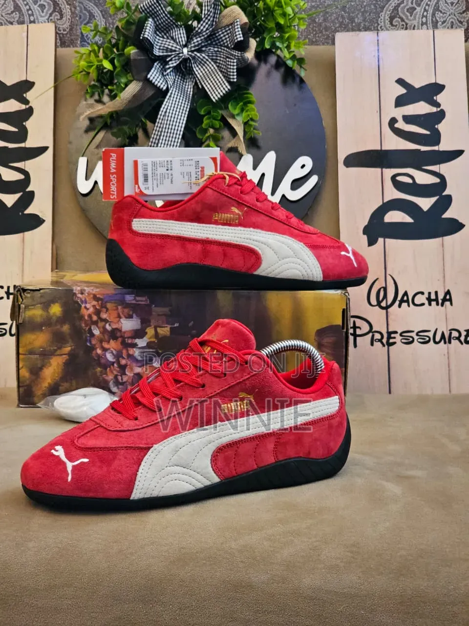 Speedycat Shoes