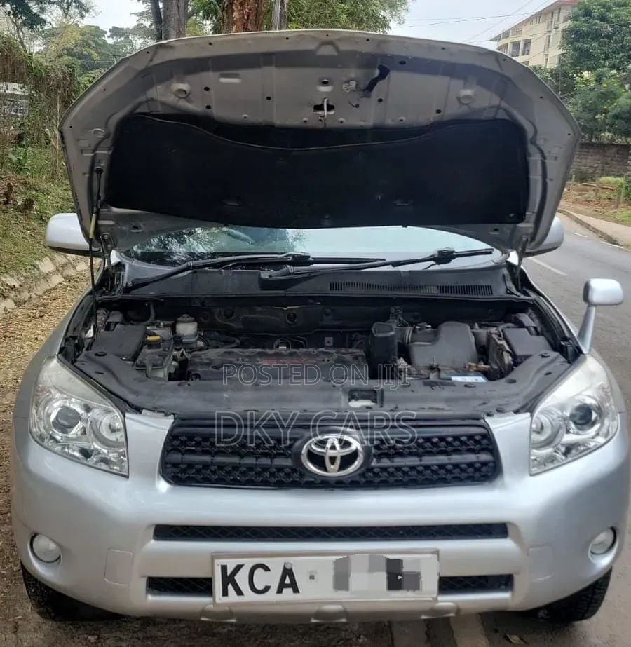 Toyota RAV4 2009 Silver