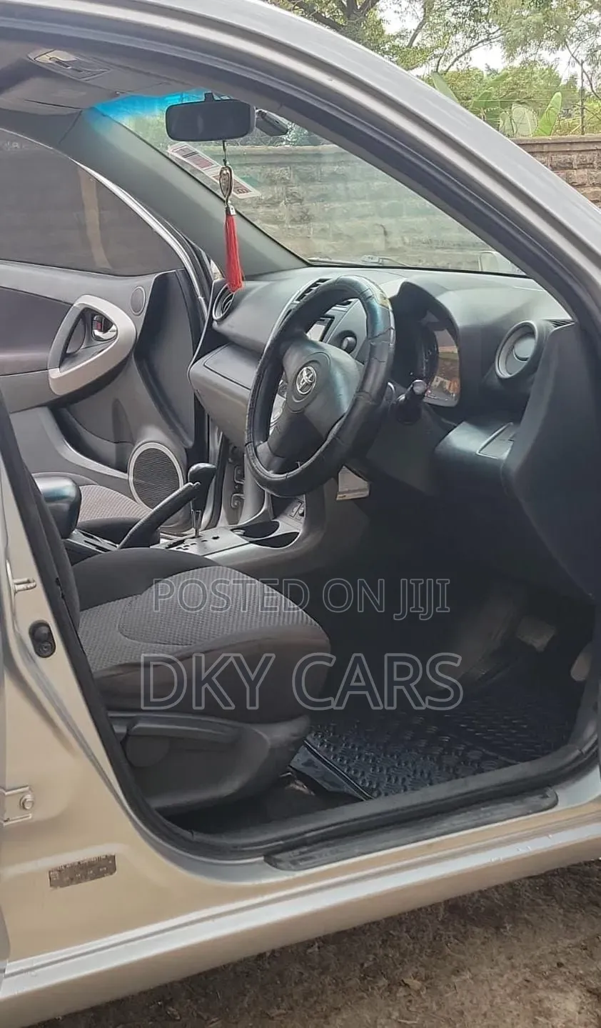 Toyota RAV4 2009 Silver