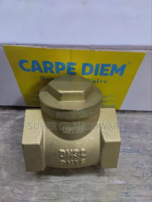11/4 Non Return Valve