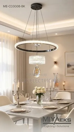 Modern Elegant Chandelier Body Black and Gold