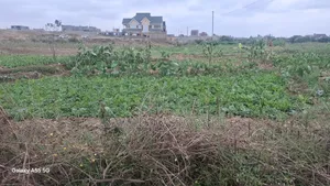 Mwiki Kasarani Prime Plots